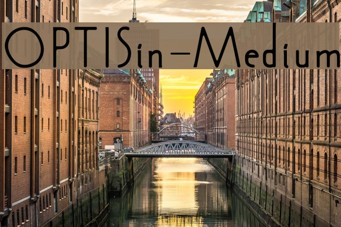 OPTISin-Medium Example 1