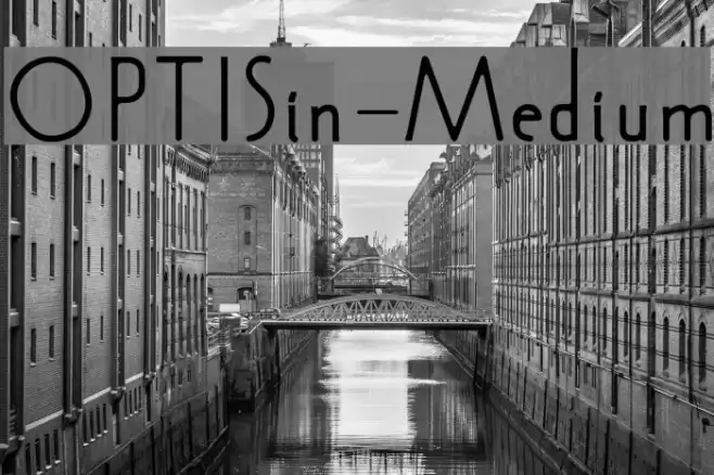 OPTISin-Medium Font examples
