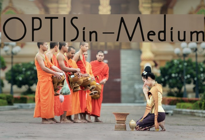 OPTISin-Medium Example 2