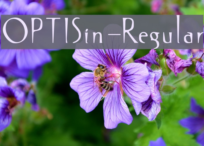 OPTISin-Regular Font examples