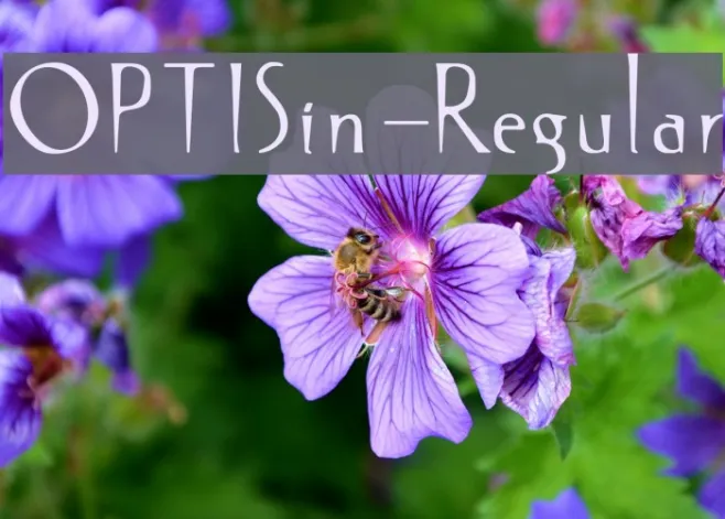 OPTISin-Regular Example 2