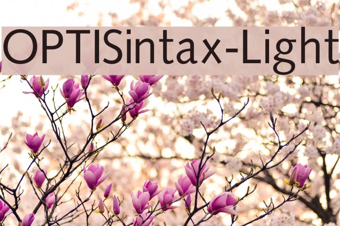 OPTISintax-Light Font examples