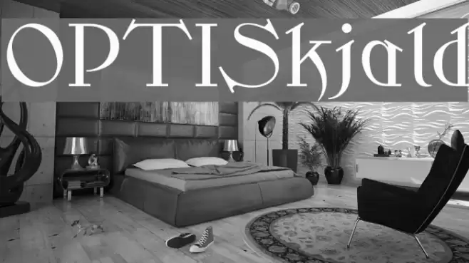 OPTISkjald Font examples