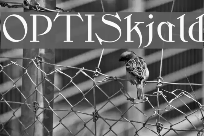 OPTISkjald Font examples
