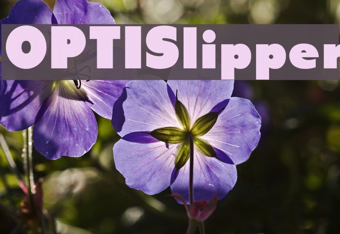 OPTISlipper Font examples