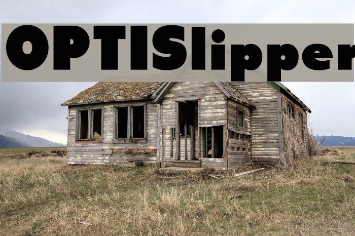OPTISlipper Font examples