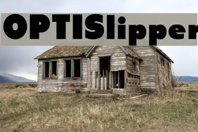 OPTISlipper Example 3