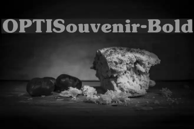 OPTISouvenir-Bold Font examples