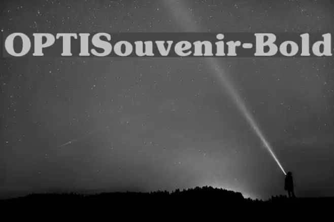 OPTISouvenir-Bold Font examples