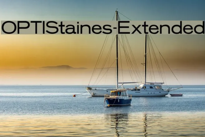 OPTIStaines-Extended Example 2