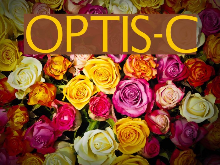 OPTISteel-Caps Font examples