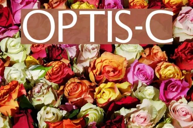 OPTISteel-Caps Example 3