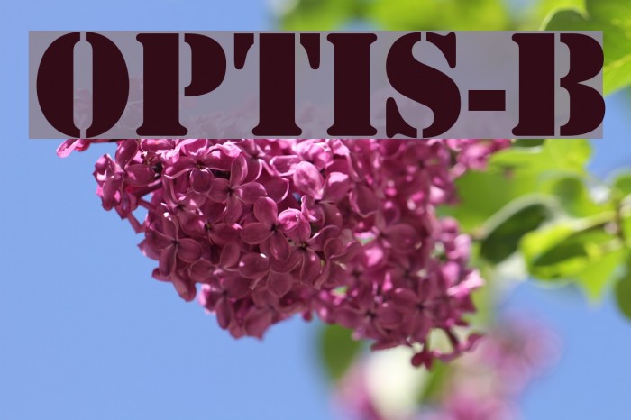 OPTIStencil-Bold Font examples