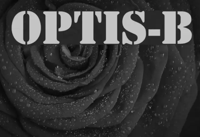 OPTIStencil-Bold Font examples