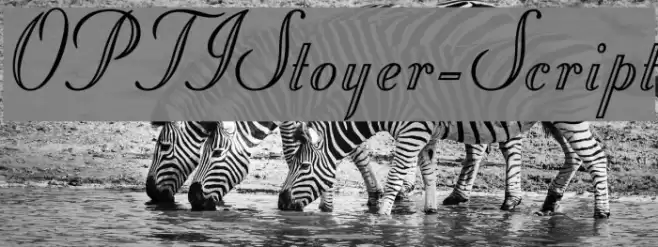 OPTIStoyer-Script Font examples