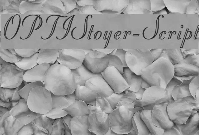OPTIStoyer-Script Font examples