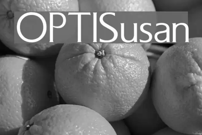 OPTISusan Font examples