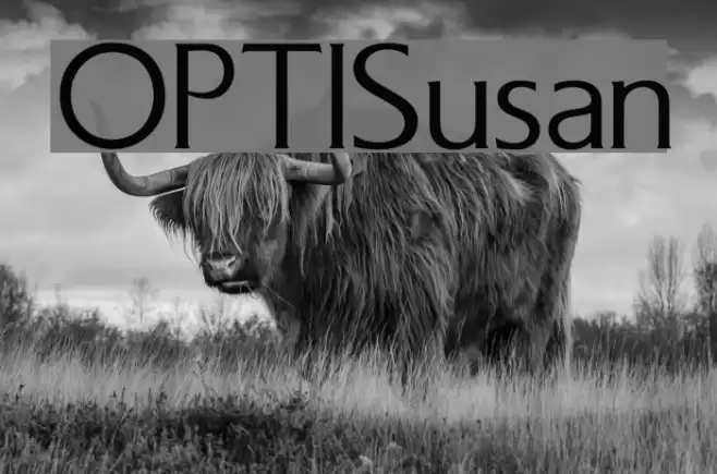 OPTISusan Font examples