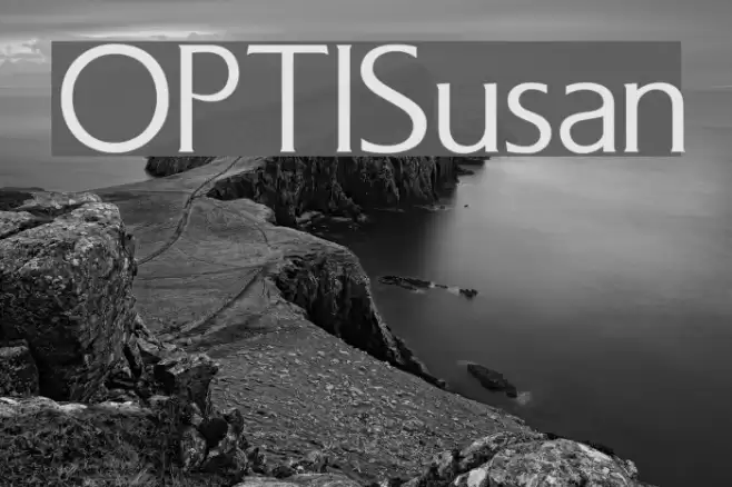 OPTISusan Font examples