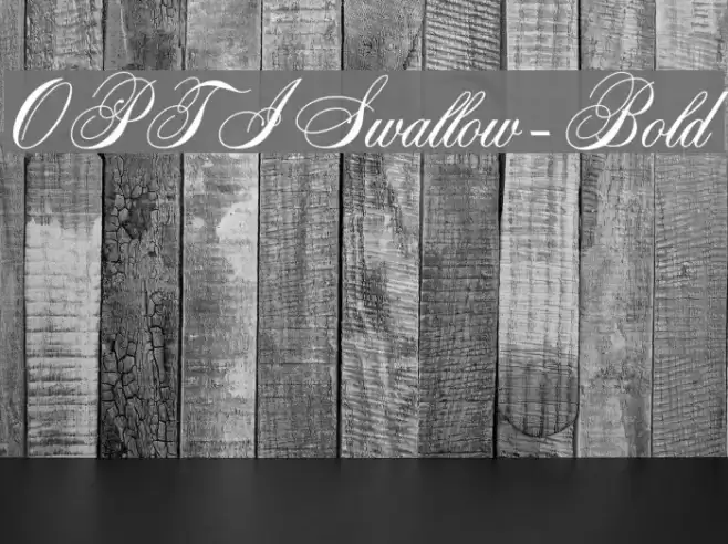 OPTISwallow-Bold Font examples