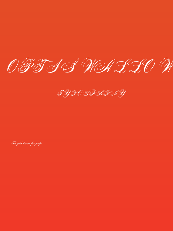 OPTISwallow-Bold Poster