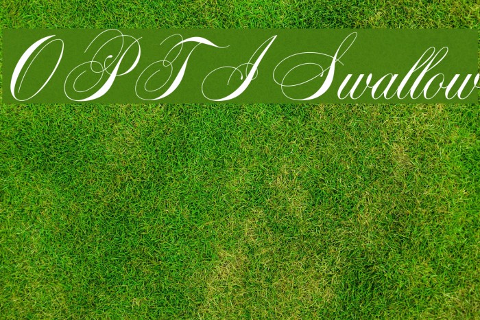 OPTISwallow Font examples