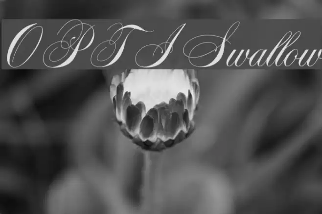OPTISwallow Font examples