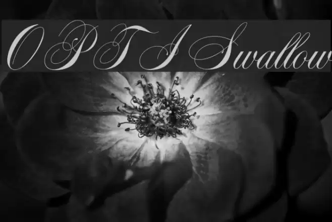 OPTISwallow Font examples