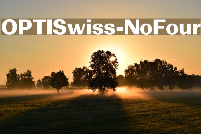 OPTISwiss-NoFour Font examples