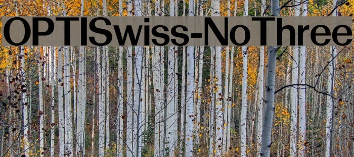 OPTISwiss-NoThree Font examples