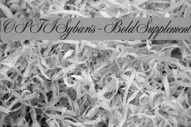 OPTISybaris-BoldSupplement Font examples