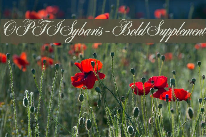 OPTISybaris-BoldSupplement Font examples