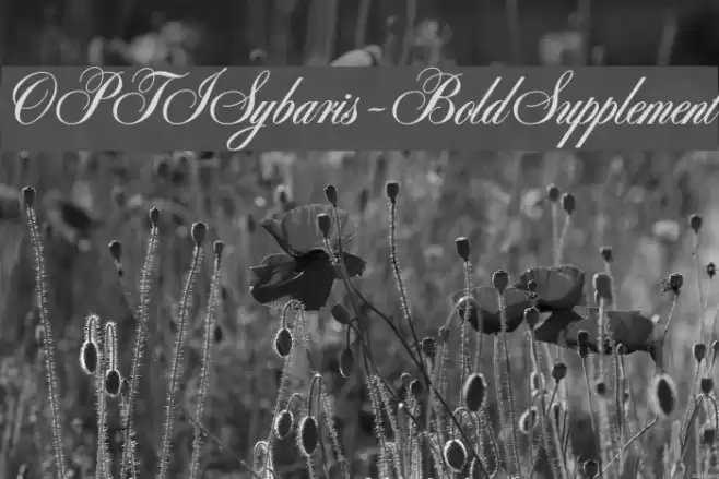 OPTISybaris-BoldSupplement Font examples