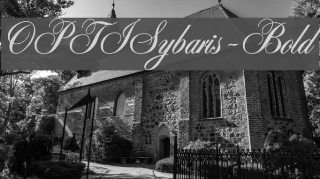 OPTISybaris-Bold Font examples