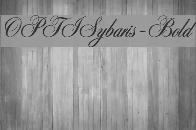 OPTISybaris-Bold Font examples