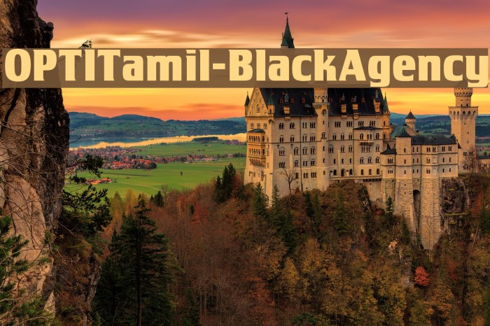 OPTITamil-BlackAgency Font examples