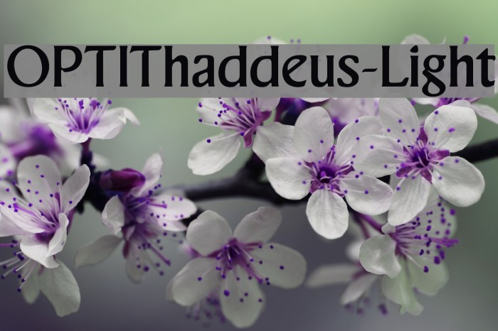 OPTIThaddeus-Light Font examples