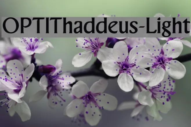 OPTIThaddeus-Light Example 3