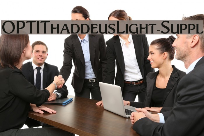 OPTIThaddeusLight-Suppl Example 2