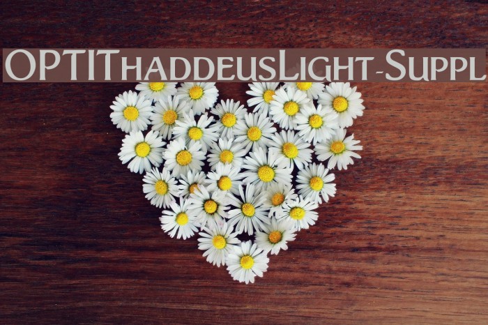 OPTIThaddeusLight-Suppl Example 3