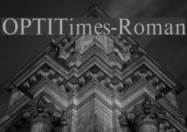 OPTITimes-Roman Font examples