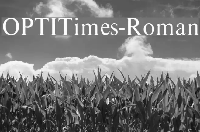 OPTITimes-Roman Font examples