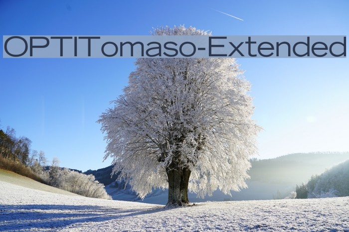 OPTITomaso-Extended Font examples