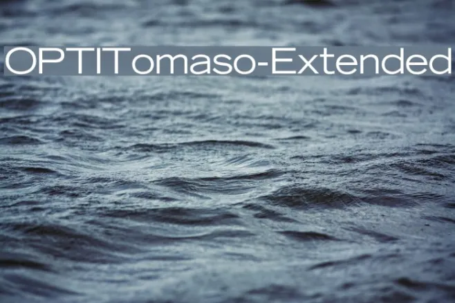 OPTITomaso-Extended Example 2