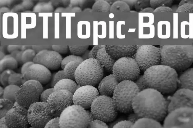 OPTITopic-Bold Font examples