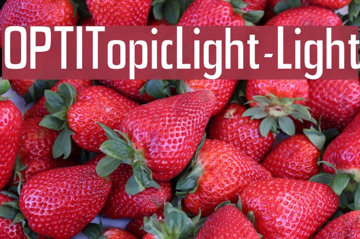 OPTITopicLight-Light Font examples