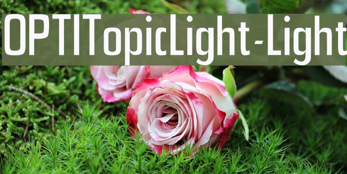 OPTITopicLight-Light Font examples