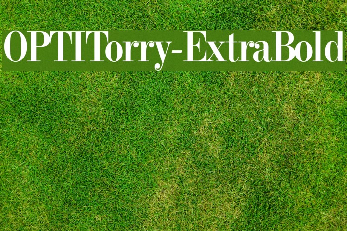 OPTITorry-ExtraBold Font examples