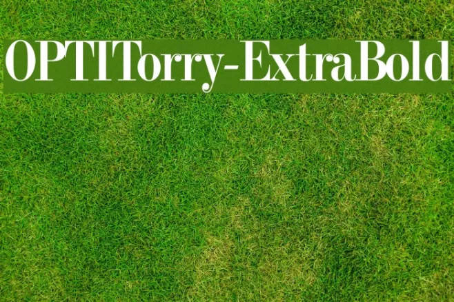 OPTITorry-ExtraBold Example 1