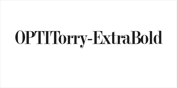 OPTITorry-ExtraBold Logo